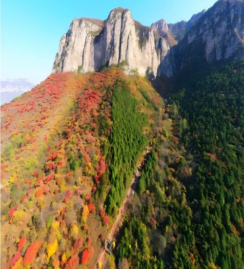 邯郸太行五指山|醉美红叶季 | 快来太行五指山接受这份秋季的美好吧！