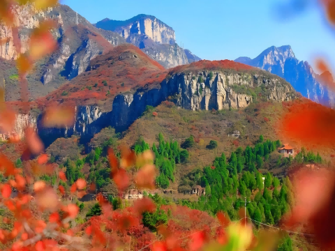 石家庄仙台山景区|全国十大红叶观赏地之一