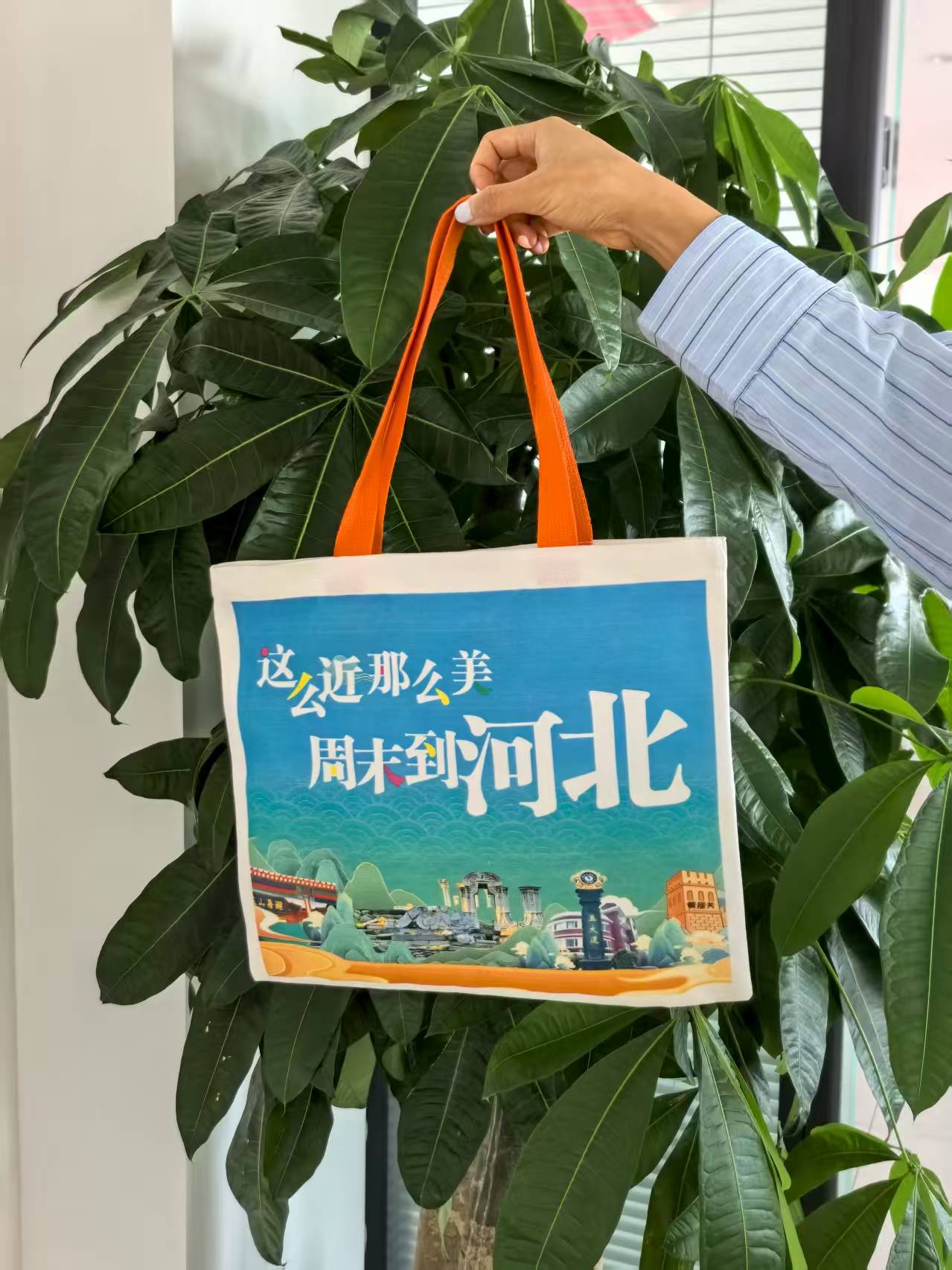 文创包|山河随身囊